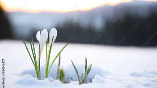 В Татарстане потеплеет до +9° С