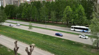 «Вдоль дороги спилили много деревьев, но ничего не посадили»