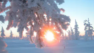 День зимнего солнцестояния 2018