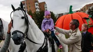 Нижнекамск страдает от рук вандалов
