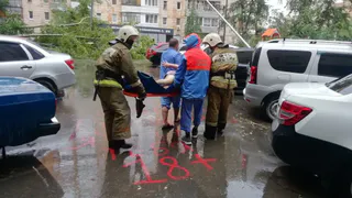 В Татарстане на двух женщин и ребенка упало дерево 