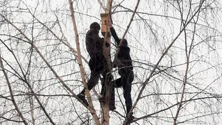 В Нижнекамске во дворе многоэтажек создали экозону со скворечниками