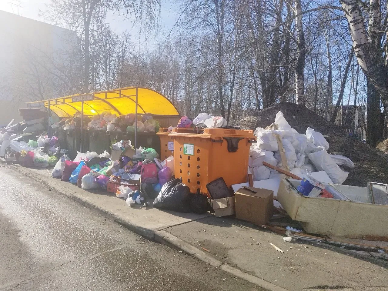 Жители Нижнекамска страдают из-за свалки на улице Тукая