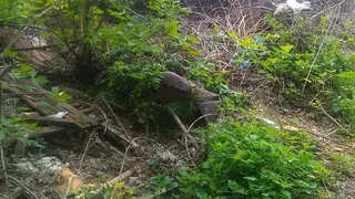 Жалобы нижнекамцев: в поселке Красный Ключ образовалась свалка