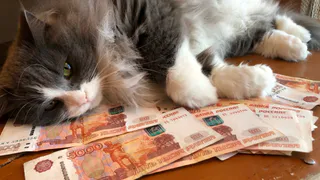 Какую ждать пенсию, если не работал официально больше 10 лет? 