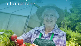 Интересные цифры: на территории Татарстана организовано 1,4 тыс. садоводческих некоммерческих товариществ