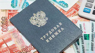 В Татарстане предложено безработным зарабатывать себе на пособия