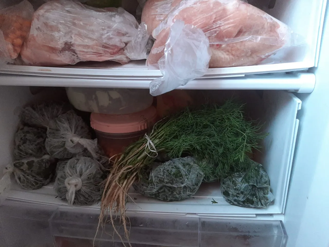 Замораживаем летние продукты. На что обратить внимание?