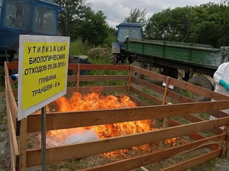 В Татарстане запускают сбор ветеринарных отходов по всей республике: уберут все скотомогильники
