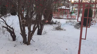 В выходные в Татарстане вновь ожидается плюсовая погода 