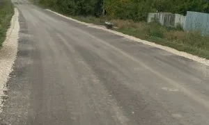«Такое ощущение, что у меня возле дома скоростная траса! Установите лежачие полицейские»