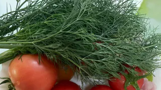 Эти сорта укропа дают зелень все лето - даже подсаживать не надо. Дачники, берите на заметку 