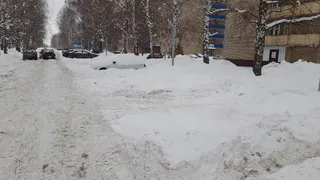 «За зиму не почистили ни разу!»