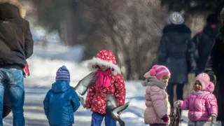 В мэрии объяснили, почему дети из многодетных семей с 11 февраля питаются платно