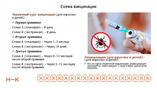 В этом году к медикам Нижнекамска с укусами клещей обратились 24 человека