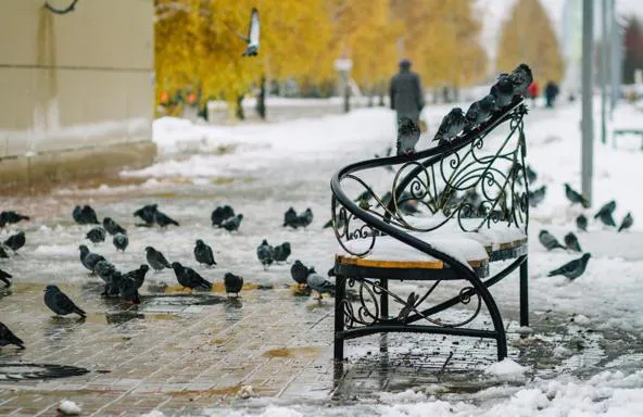 Зимний Нижнекамск глазами местных фотолюбителей