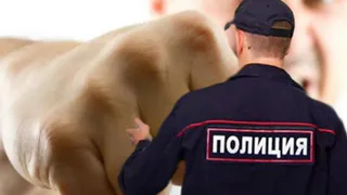 Татарстанца, ударившего полицейского, оштрафовали на 20 тыс. рублей