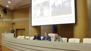 Главная причина пожаров в Татарстане вызвана горением сухой травы и мусора