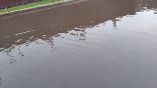 После дождя лужа длиной в 20 метров