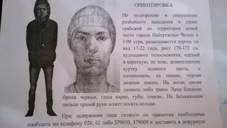  Весеннее обострение: в Набережных Челнах орудует серийный маньяк-грабитель