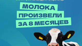 В 2022-м Татарстан занял 1-е место по производству молока