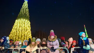 Все на праздник: сегодня открытие елки в парке «СемьЯ»
