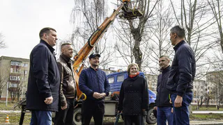 В Нижнекамске обрезку деревьев приведут в единый стандарт
