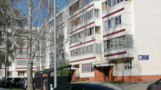 «Уберите этот сухостой, пока от ветра он кому-нибудь на голову не упал»