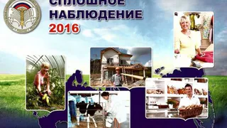 Нижнекамские бизнесмены примут участие в сплошном статистическом наблюдении
