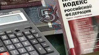 В Татарстане бизнесмен скрыл от налоговой 56 млн рублей