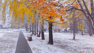 Когда ждать первый снег в Татарстане: прогноз метеорологов