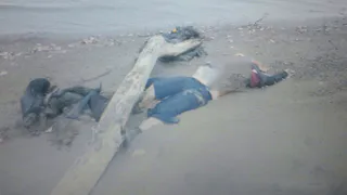 В Нижнекамском районе на берегу Камы найден труп мужчины