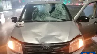 На проспекте Химиков возле дома №54 под колеса автомобиля попал пешеход