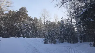 Сегодня резкое понижение температуры и метель