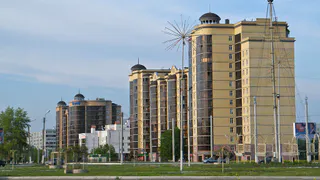 Почему Нижнекамск сравнили с актером Алексеем Паниным?