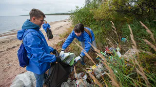 В Нижнекамске пройдет экологическая акция: присоединиться может каждый 