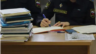 В Татарстане судебные приставы помогли маме вернуть детей
