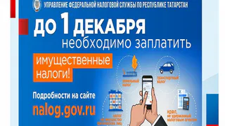 Нижнекамцам рассказали, какие налоги нужно уплатить до 1 декабря 