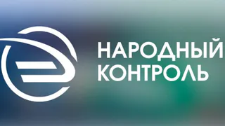 Ветками задевает припаркованные машины: нижнекамцы жалуются на аварийное дерево