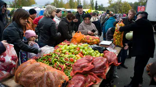 В Нижнекамске проведут ярмарки