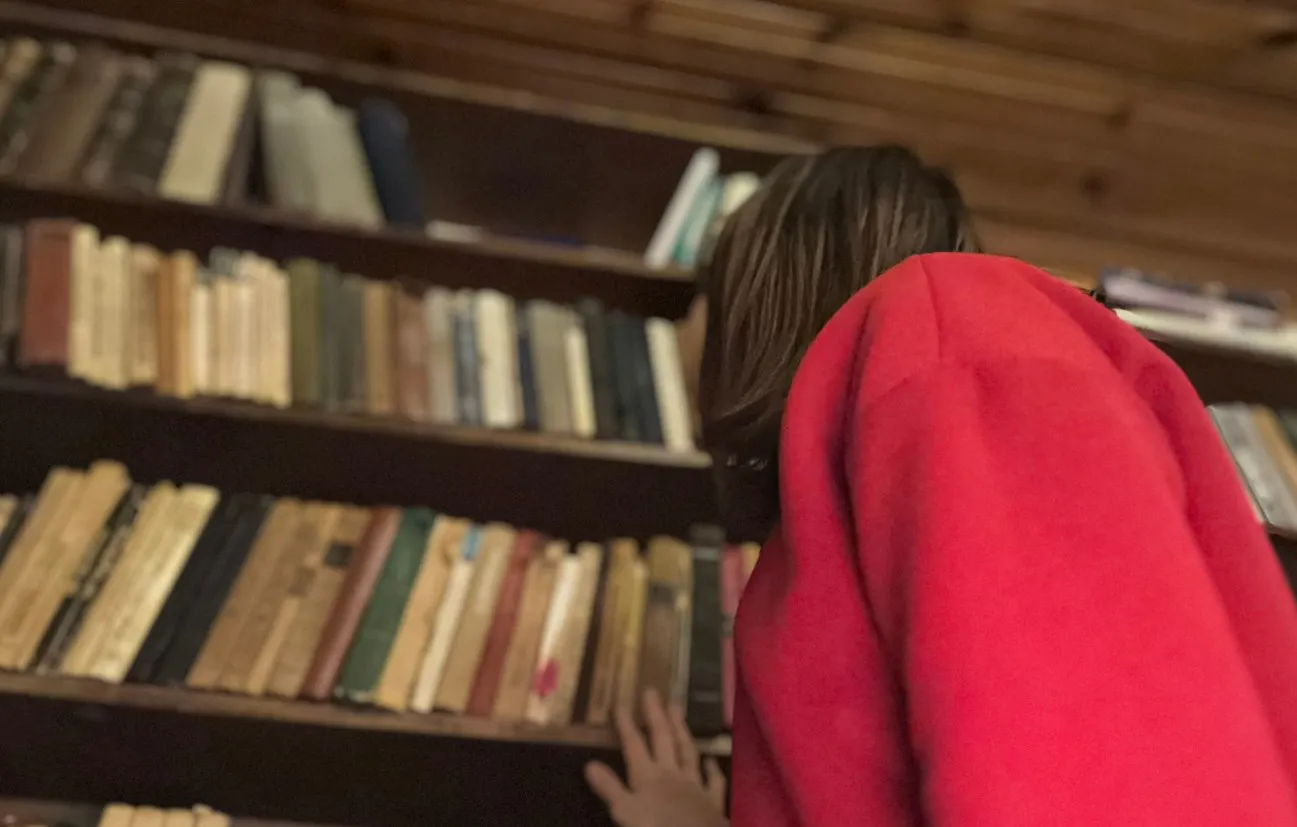 Школьники щелкают этот вопрос, словно орешки - а вы сможете ответить верно? Проверьте свою грамотность