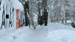 12 февраля в Татарстане погода будет без осадков, но с порывистым ветром