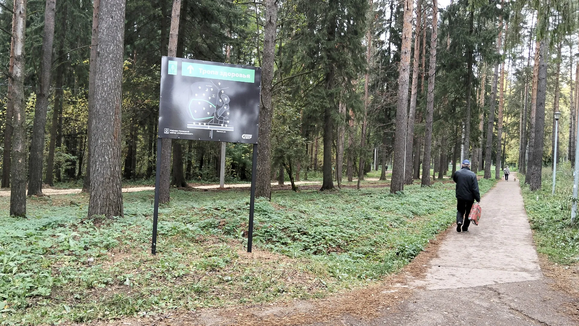 В лесах Татарстана станет опасно из-за возможных пожаров
