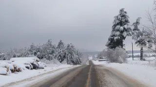 В Нижнекамском районе автобус вылетел в кювет