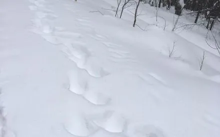 В Татарстане обнаружен труп, а рядом подпись "Нельзя"