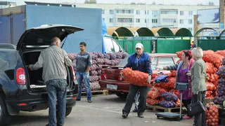 Урожай: в Нижнекамске начинаются осенние ярмарки