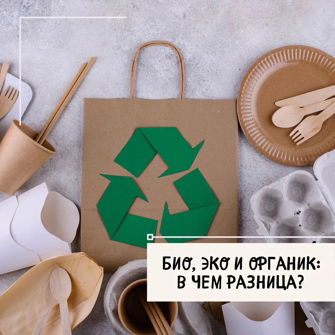 Био, эко и органик: в чем разница?