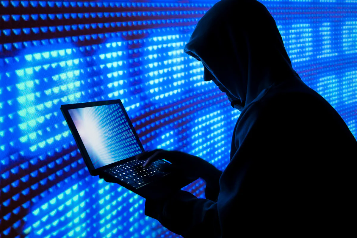Обратная сторона голосования по Конституции: хакеры продают данные россиян