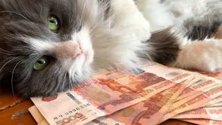 Финансисты поставили точку: вот что нужно сделать с пенсией в первый день поступления - запомните