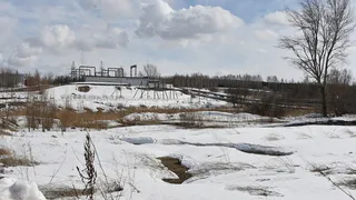 В Нижнекамске планируют создать лесопарк
